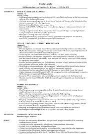 Primary responsibilities include supervision of daily and period end processes preparing, period. Market Risk Manager Resume Samples Velvet Jobs