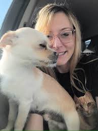 cheesechallenge Bullet loves showing his pearly whites for belly roobs!