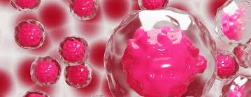 Stem Cell Research For Hair Growth Clinicana