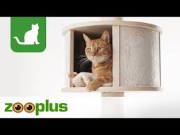 Perfect voor grote en zware katten. Sureflap Microchip Pet Door Connect Zooplus Co Uk Youtube