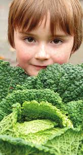 Veteran volunteer fuels fire dept. debate