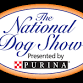 The National Dog Show — Snugpups | Handmade Dog Coats event image