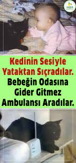 bebek telsizinden kedinin sesini duyunca bebegin odasina gittiler allah