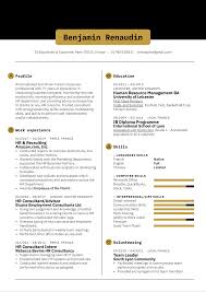 Use our hr resume sample and template. Hr Consultant Resume Template Kickresume