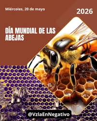 Las abejas Reinas no nacen, se hacen, se construyen desde su ADN, con su entorno y con todo lo que ponen en sus cuerpos mentes ., esto también aplica a nosotros mismos