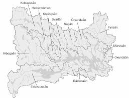 Image result for Habenaria pasmithii