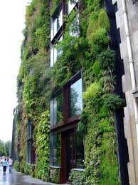 Quai Branly Mur Vegetal Createur Patrick Blanc Green Facade Vertical Garden Urban Garden