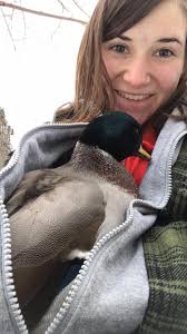Olive the duck's first snow experience