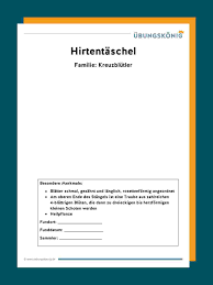 Hier kannst du dir dein persönliches herbarium deckblatt schnell und einfach erstellen und ausdrucken. Herbarium