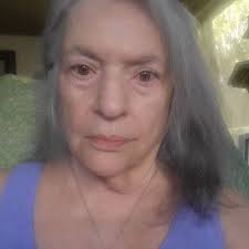 Vegan shepherd pie recipe ready in minutes