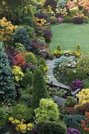 Pin By Rachael Matthews On Huzur Bulduklarim Beautiful Gardens Conifers Garden Gorgeous Gardens