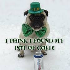 Funny Dogs To Get You In The St Patrick S Day Spirit Funny Dog Pictures Funny Dogs Pugs Funny
