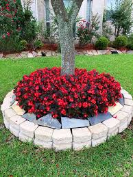 Follow this guide to planting shade loving shrubs, perennials and annuals to landscape around trees. 22 Beautiful Flower Beds Around Trees Decor Home Ideas