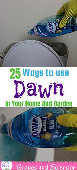 25 Ways To Use Dawn Dish Soap In Your Home In 2020 Dawn Dish Soap Household Cleaning Tips Cleaning Hacks