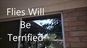 Flies are attracted to strong odors. Terrorize Flies How To Get Rid Of Flies No Mess No Traps Really Works Youtube