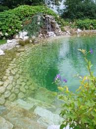 30 Amazing Backyard Swimming Ponds Ideas Ponds Backyard Natural Pool Natural Swimming Ponds