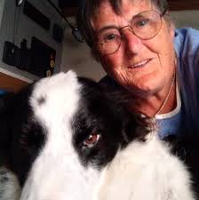 Pacing and rest days