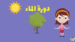 دورة الماء في الطبيعة كيف يتكون المطر لماذا تمطر Water Cycle For Kids Arabic For Kids Youtube