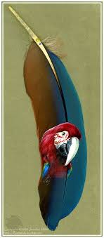 Illustrated Feather Lifelike Birds And Animals Illustrated On Feathers Designtaxi Com Feather Art Feather Painting Feather Crafts