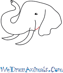 How to draw a fawn face for kids. How To Draw An Elephant Face