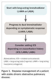 Image result for Medications in COPD Management