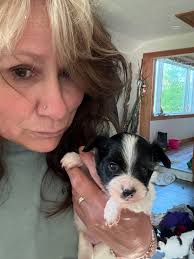 Deanna's Papillons since 1989