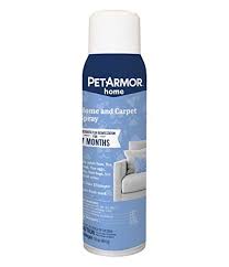 Maybe you would like to learn more about one of these? How To Kill Fleas In Carpet Home Stratosphere