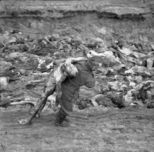 Image result for holocaust photos