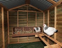 My chicken coop needs a thorough clean and repair, so i need someone with some handyman skills and some cleaning skills. Backyard Chicken Coops Aarons Outdoor