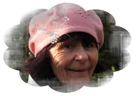 Randonnée Pluvigner en janvier