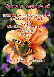 Finde hier kostenlose schöne & lustige guten morgen bilder. Marlies Ziegeler On Twitter Guten Morgen Liebe My Rose05 Wunsche Ich Dir Auch