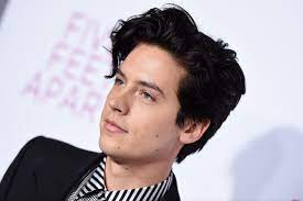The riverdale star disclosed the incident took place while attending a black. Cole Sprouse Arrested At Black Lives Matter Protest In L A