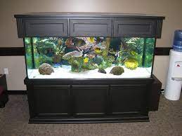 If your aquarium is very wide you may even want to include more than one center brace. 10 Tips On How To Make A Fish Tank Junk Mail Blog