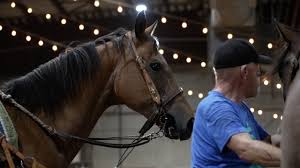 Colorado Gay Rodeo Association to host rodeo indoors at National Western  Complex