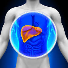 Liver Blood Tests Abnormal Values High Low Normal Explained