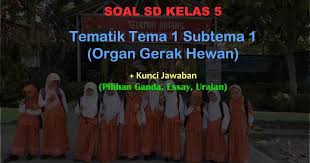 Soal Kelas 5 Tema 1 Organ Gerak Hewan Jawaban Baru Muttaqin Id