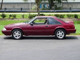 Image result for Maroon 1990 UMM