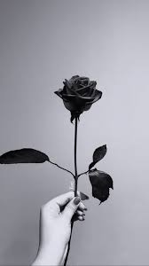 pin on wallpapers