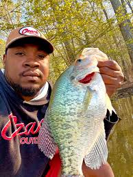 🔨 time!!! https://ozarkrod.com/product/pro-series-trolling-rod/