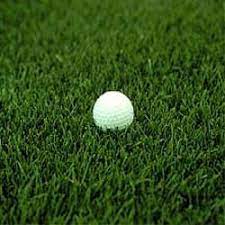 Kentucky Bluegrass Seed Midnight Kentucky Bluegrass Lawn Seed Bluegrass Grass Seed Kentucky