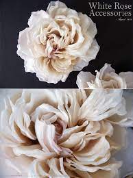 白色玫瑰花頭飾 flowers rose plants