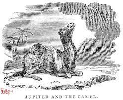He only wants you for wool, but he wants me for bacon. The Camel And Jupiter Fables Of Aesop