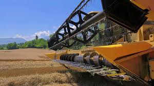 Maladie du blé avec 6 lettres maladie du blé nielle 6 trouvé maladie du blé oidium 6 trouvé maladie du blé. Recolte 2021 Des Cereales A Paille Colza Pois Et Feverole Franceagrimer Etablissement National Des Produits De L Agriculture Et De La Mer