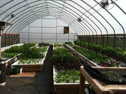 The Aquaponic Farming Course