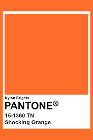 Shocking Orange Pantone Pantone Colour Palettes Pantone Color Chart Pantone Orange