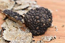 Schau dir angebote von ‪truffle‬ auf ebay an. How To Grow Truffles In A Greenhouse