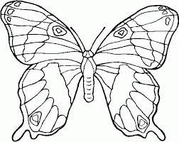 By samantha bee tuesday, september 10, 2019. Schmetterling Malvorlagen Malvorlagen1001 De