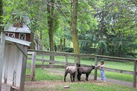 Mobile petting zoo in milwaukee on yp.com. Up Close Adventures For Animal Lovers Petting Zoos Near The Fox Valley