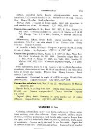 Image result for Polyspatha