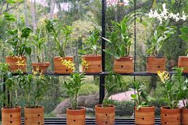 Here are some hardy plants that look lovely in garden planters 7 Materials Used For Plant Containers